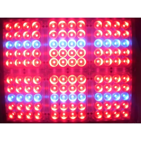 Apache Tech LED - White/Red 3:2 - AT200