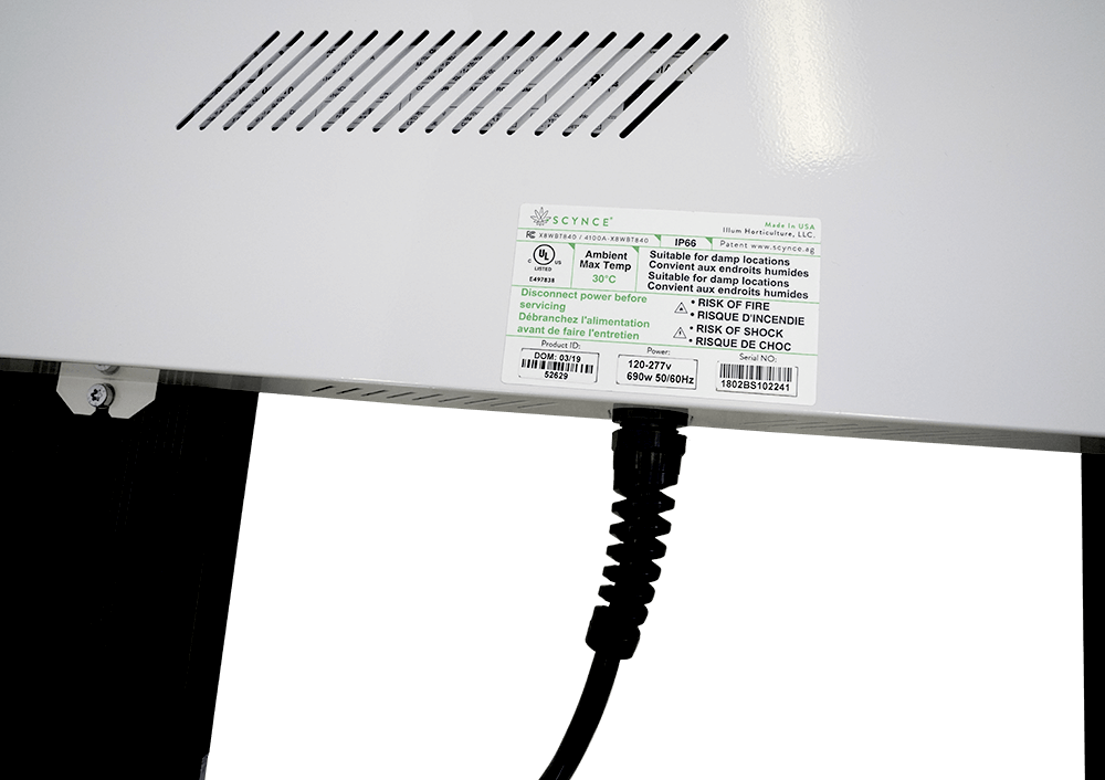 Kush Back Label