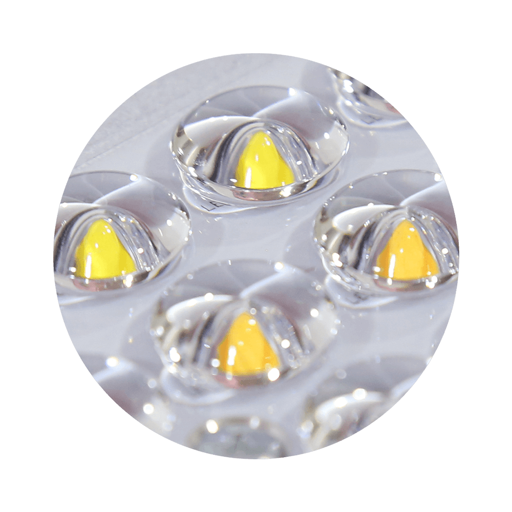 LEDs