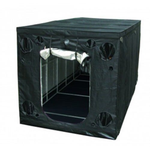 Secret Jardin Intense Series INT240 8' x 8' x 7'