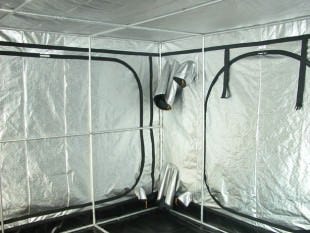 Secret Jardin Intense Series INT240 8' x 8' x 7'