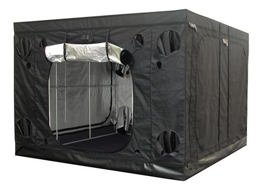 Secret Jardin Intense Series INT240 8' x 8' x 7'