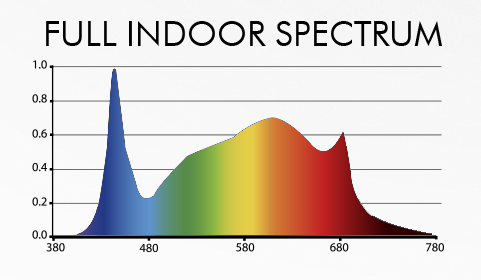 Spectrum