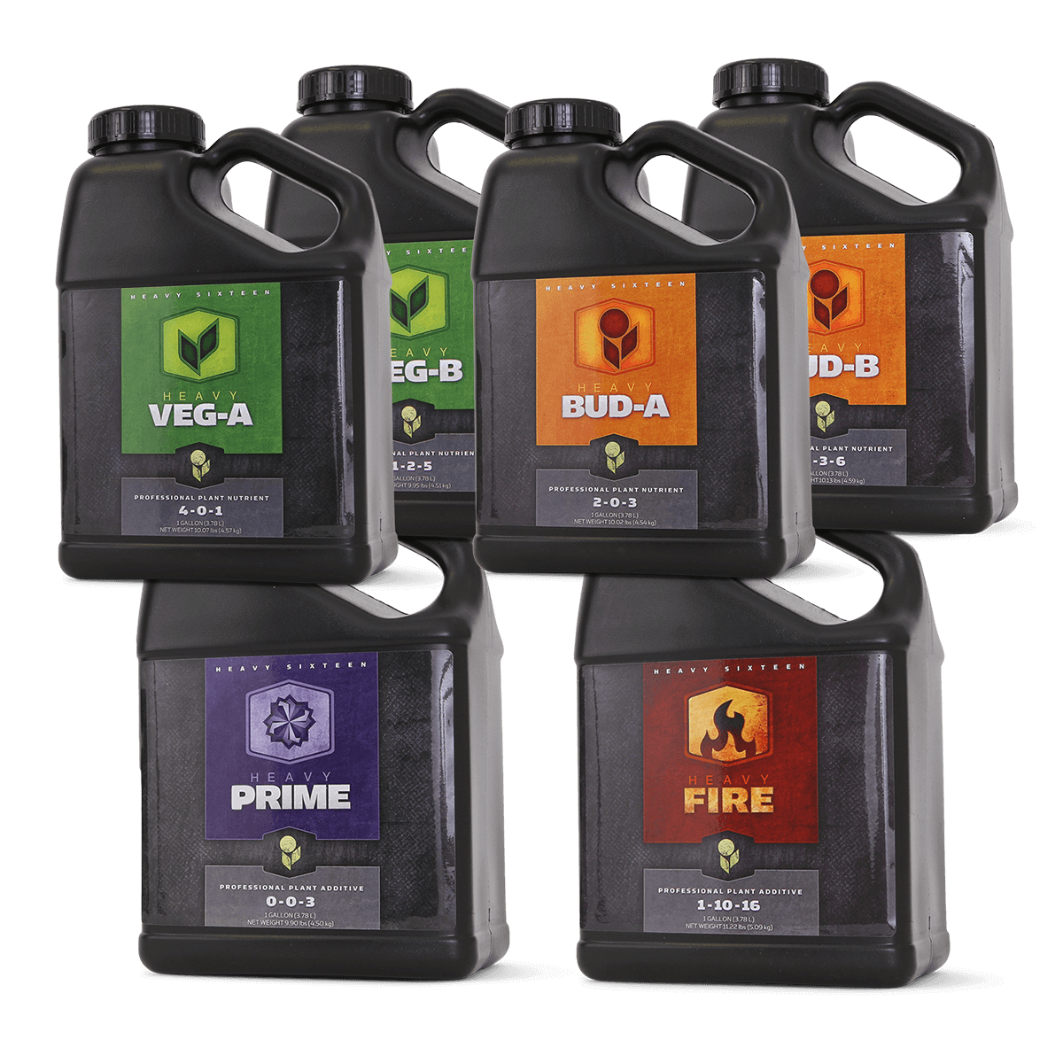 Heavy 16 Complete Starter Kit