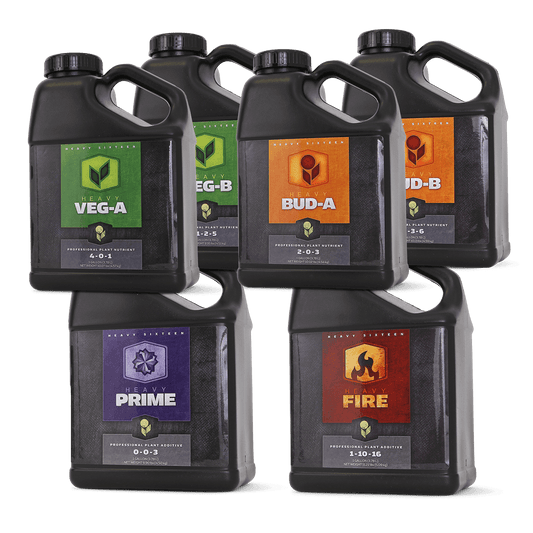 Heavy 16 Complete Starter Kit