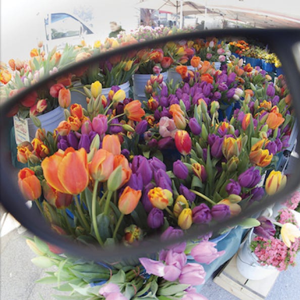 Method Seven Evolution Sun Polarized Glasses