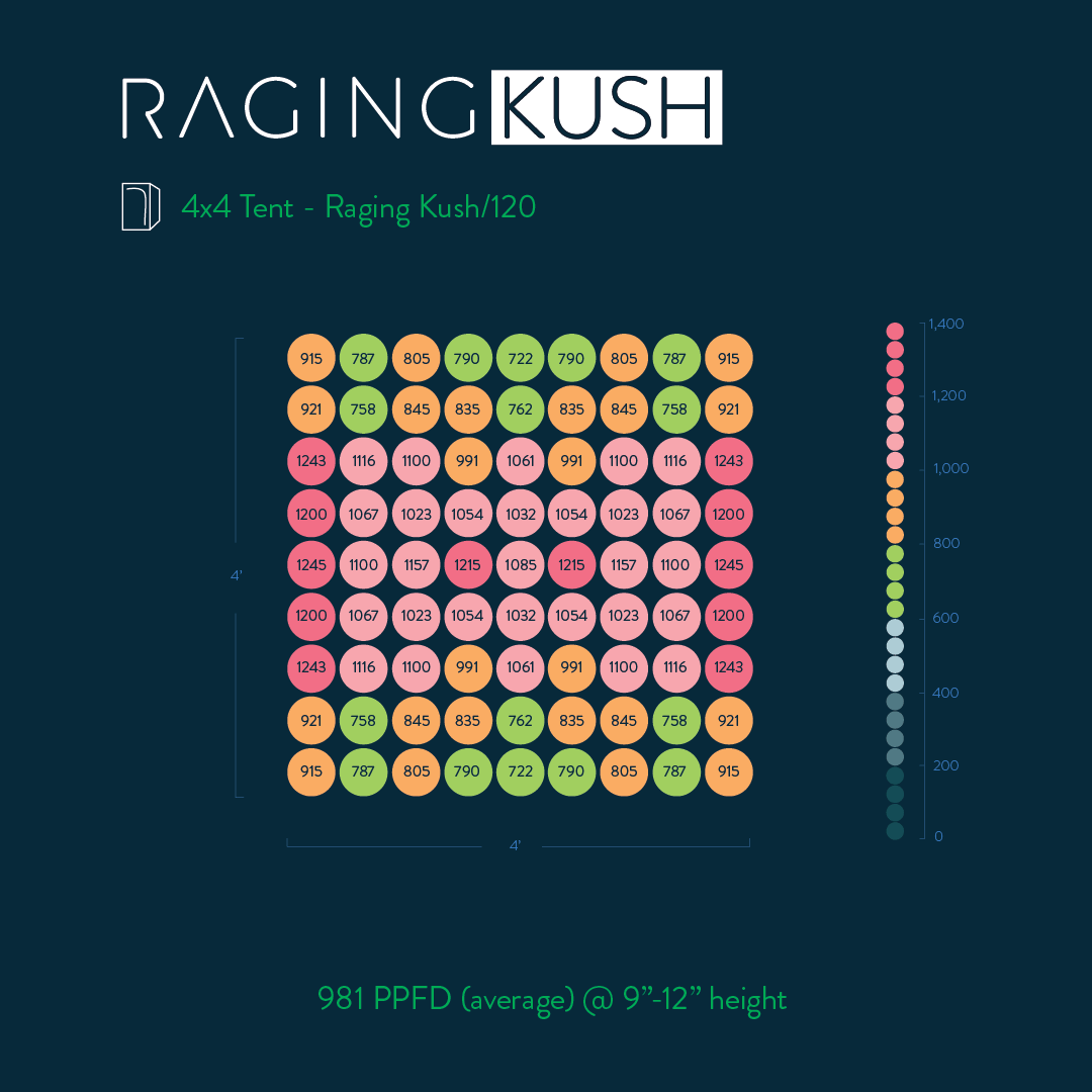 Kush PAR Map - 4x4 Tent