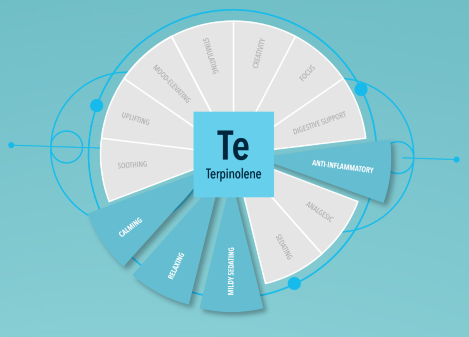Integra Terpene Essentials 4g Terpinolene 62% Relative Humidity master case of 288 packs Possible Effects Chart