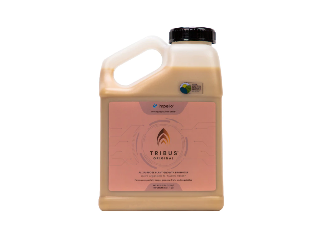 Tribus Original 1-Gal