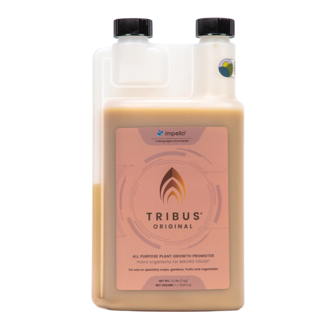 Tribus Original 1-L