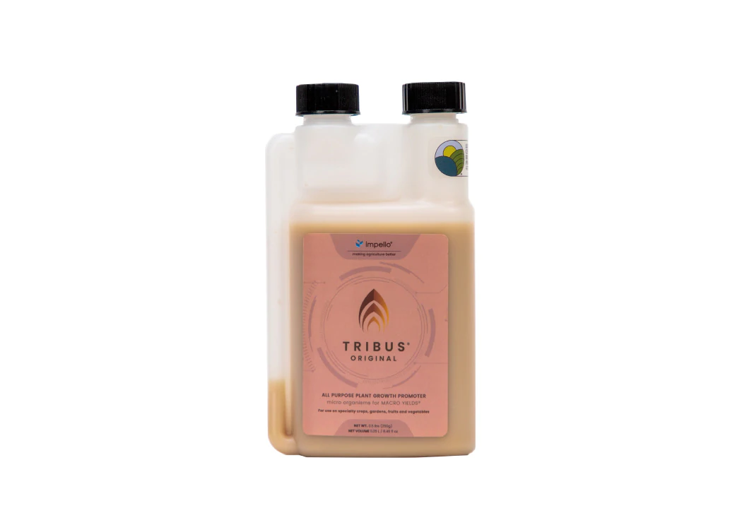 Tribus Original 250-ml