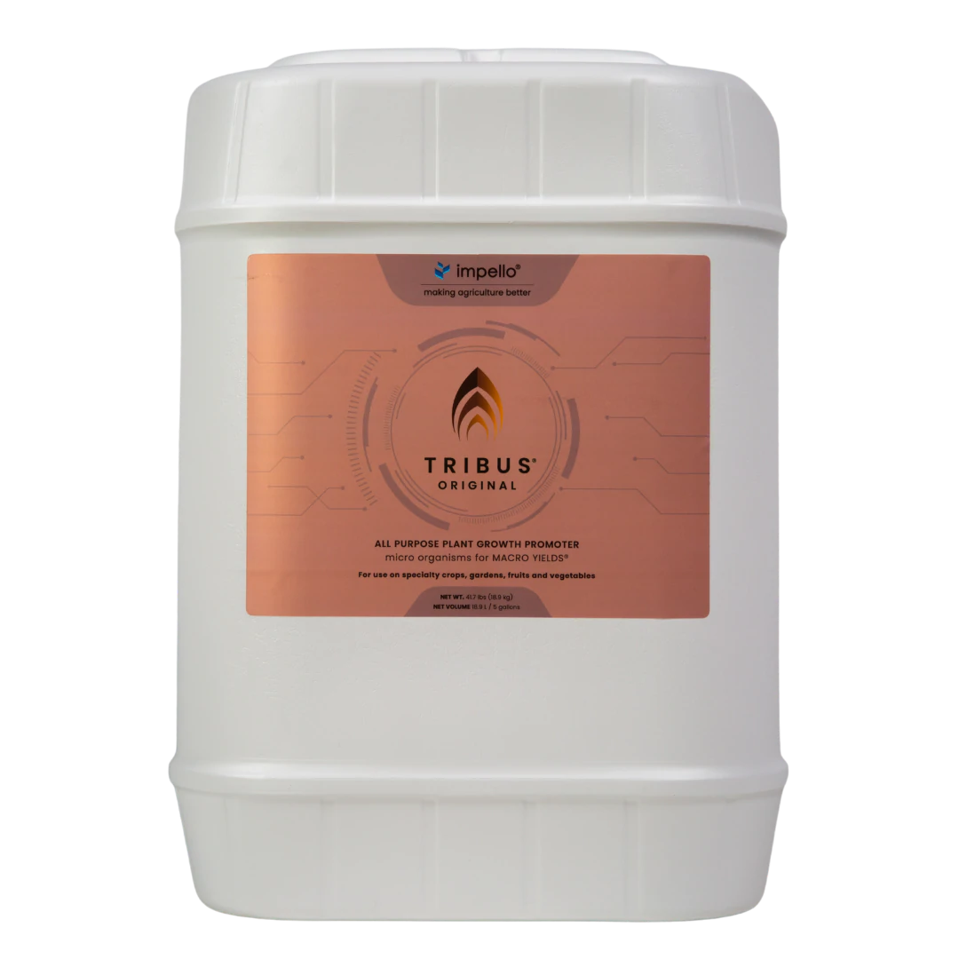 Tribus Original 5-Gallon