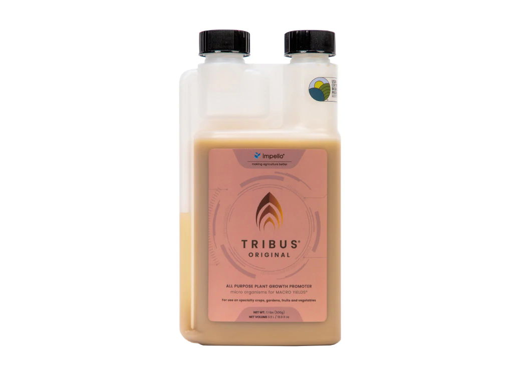 Tribus Original 500-ML