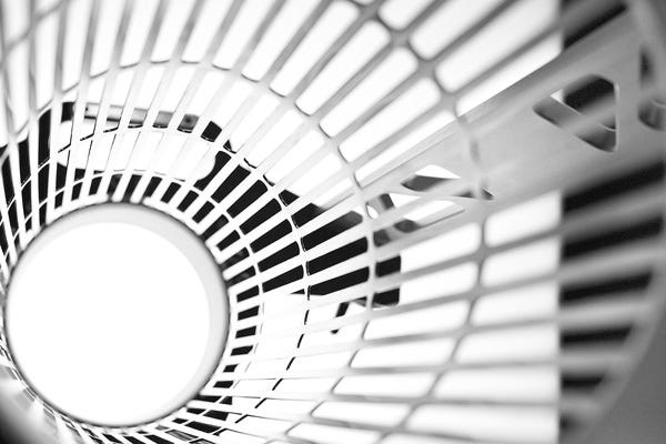 Twister T4 Wet Trimmer (machine + leaf collector)