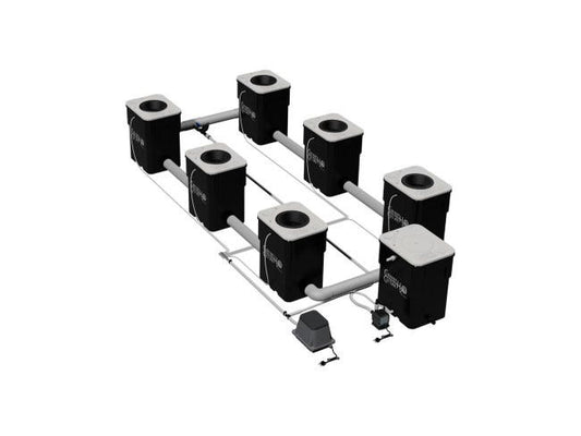 Under Current XXL13 - Current Culture