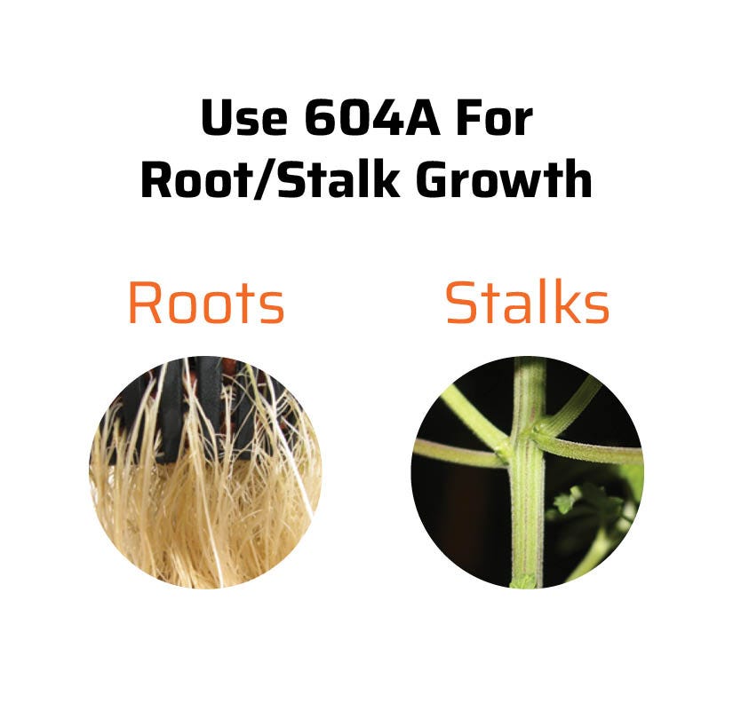 SNS-604A Roots-Vegetation Growth Supplement