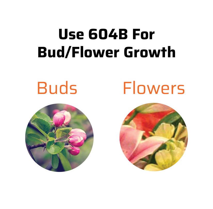 SNS 604B Flowering Growth Supplement