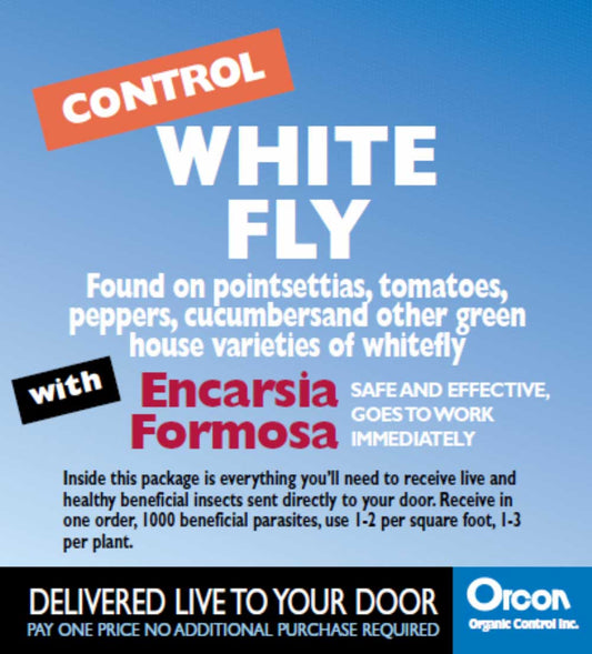 Encarsia Formosa Mail-Back, pack of 5