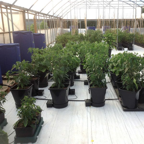 AutoPot - XL System - 4Pot