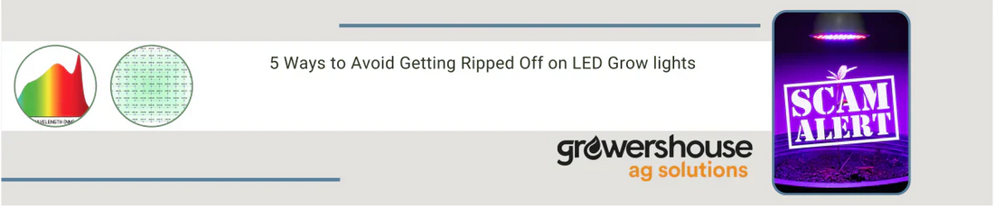 5 Ways to Avoid Getting Ripped Off on LED Grow lights