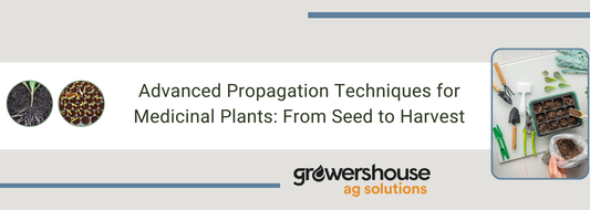 Advanced Propagation Techniques for Medicinal Plants: From Seed to Harvest