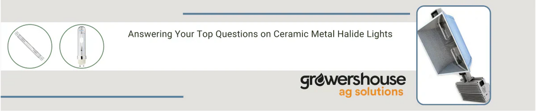 Answering Your Top Questions on Ceramic Metal Halide Lights