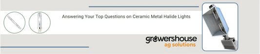 Answering Your Top Questions on Ceramic Metal Halide Lights