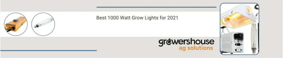 Best 1000 Watt Grow Lights for 2021