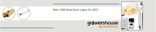 Best 1000 Watt Grow Lights for 2021