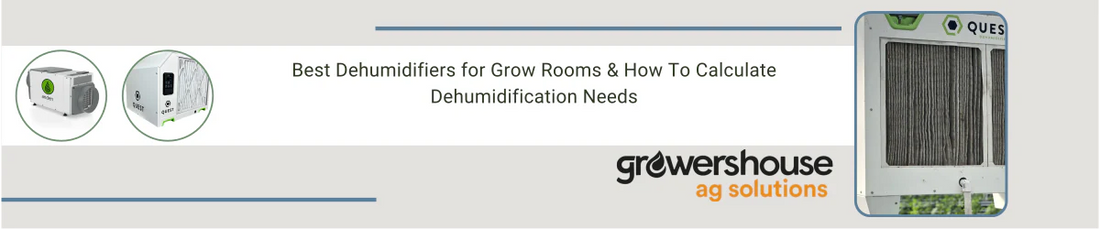 Best Dehumidifiers for Grow Rooms & How To Calculate Dehumidification Needs