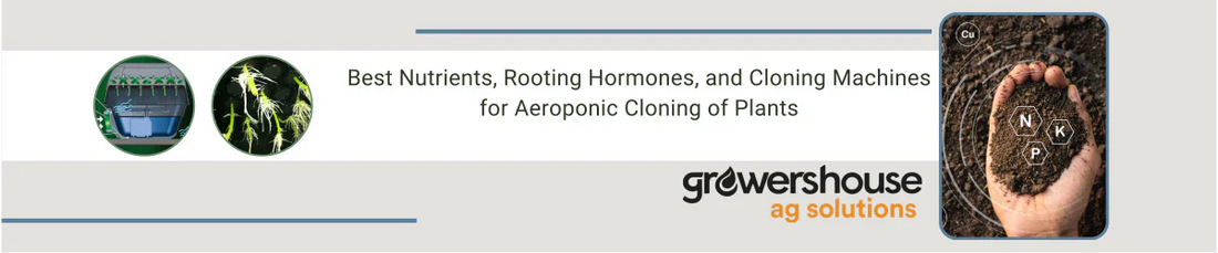 Best Nutrients, Rooting Hormones, and Cloning Machines for Aeroponic Cloning of Plants