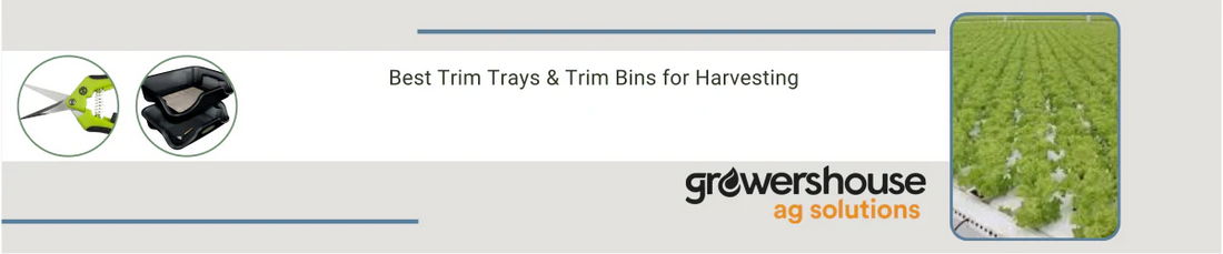 Best Trim Trays & Trim Bins for Harvesting