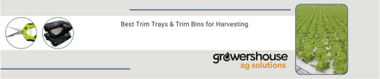 Best Trim Trays & Trim Bins for Harvesting