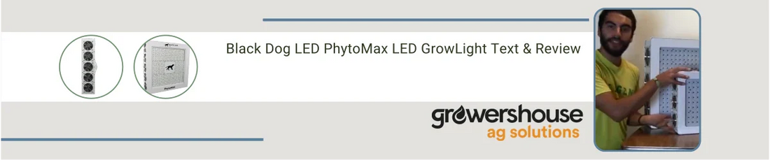 Black Dog LED PhytoMax LED GrowLight Text & Review