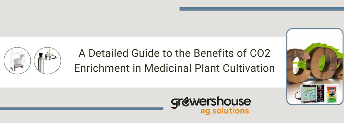 Supercharge Your Harvest: A Comprehensive Guide to CO2 Enrichment in Medicinal Plant Cultivation