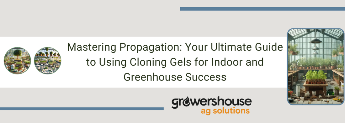 Mastering Propagation: Your Ultimate Guide to Using Cloning Gels for Indoor and Greenhouse Success