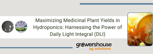 Maximizing Medicinal Plant Yields in Hydroponics: Harnessing the Power of Daily Light Integral (DLI)