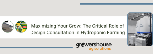 Maximizing Your Grow: The Critical Role of Design Consultation in Hydroponic Farming