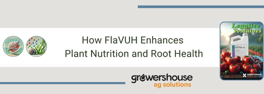 How FlaVUH Enhances Plant Nutrition and Root Health