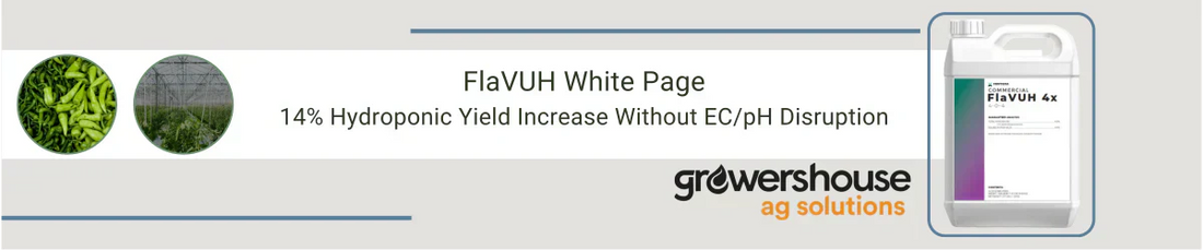 FlaVUH White Page