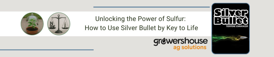 Unlocking the Power of Sulfur: How to Use Silver Bullet by Key to Life