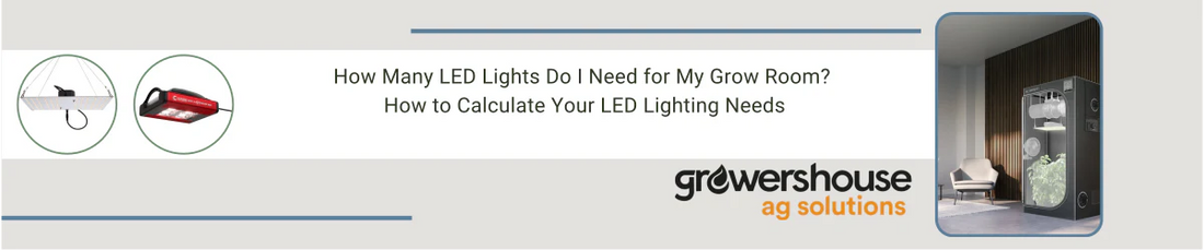 How Many LED Lights Do I Need for My Grow Room? How to Calculate Your LED Lighting Needs