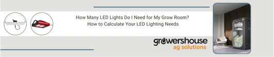 How Many LED Lights Do I Need for My Grow Room? How to Calculate Your LED Lighting Needs