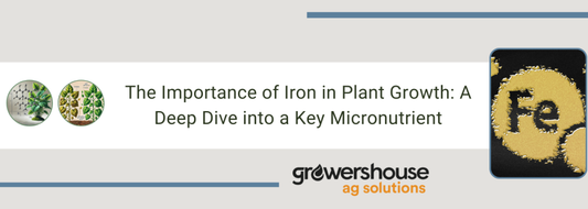 The Importance of Iron in Plant Growth: A Deep Dive into a Key Micronutrient