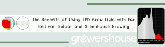 The Benefits of Using LED Grow Light with Far-Red for Indoor and Greenhouse Growing