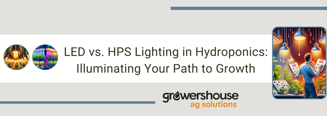 LED vs. HPS Lighting in Hydroponics: Illuminating Your Path to Growth