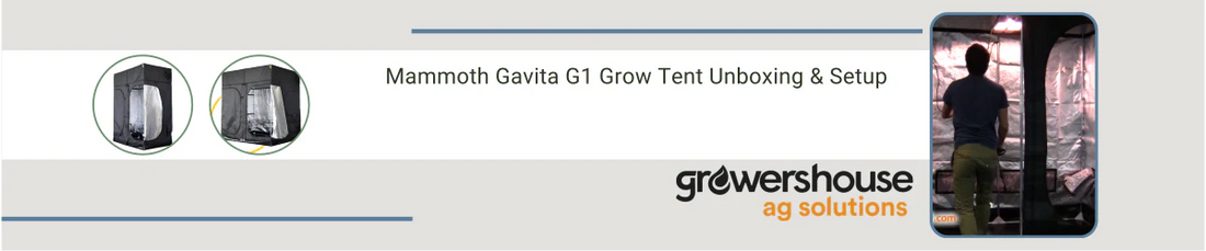Mammoth Gavita G1 Grow Tent Unboxing & Setup