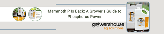 Mammoth P Is Back: A Grower’s Guide to Phosphorus Power