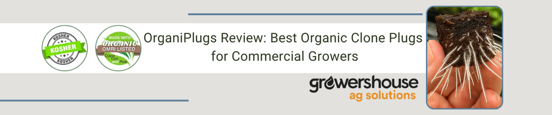 Why VPS OrganiPlugs Are the Clone Plugs Top Growers Trust