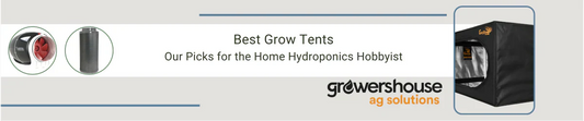 Our Best Grow Tent Picks for the Home Hydroponics Hobbyist
